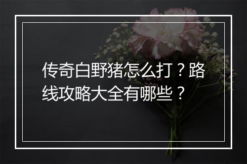 传奇白野猪怎么打？路线攻略大全有哪些？