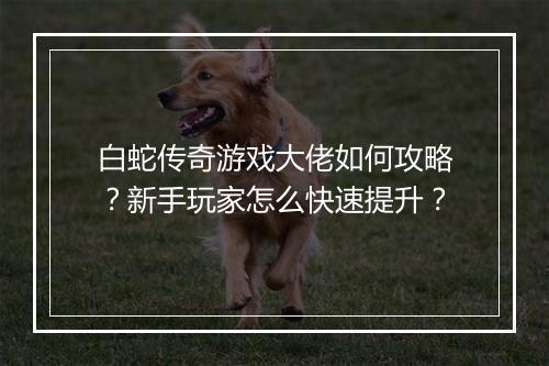 白蛇传奇游戏大佬如何攻略？新手玩家怎么快速提升？