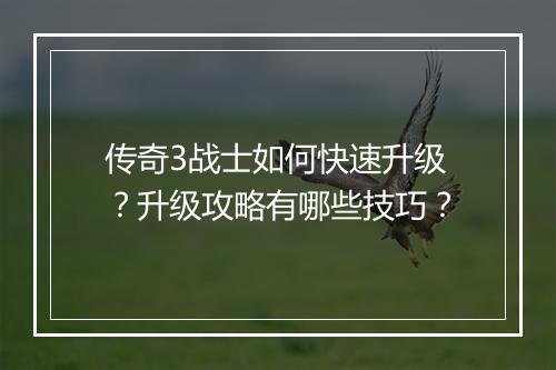 传奇3战士如何快速升级？升级攻略有哪些技巧？