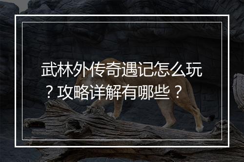武林外传奇遇记怎么玩？攻略详解有哪些？