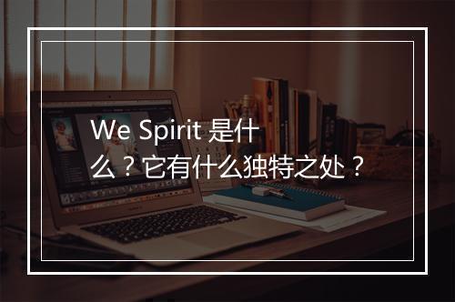 We Spirit 是什么？它有什么独特之处？