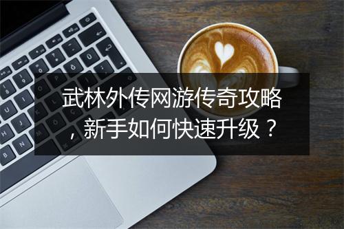 武林外传网游传奇攻略，新手如何快速升级？