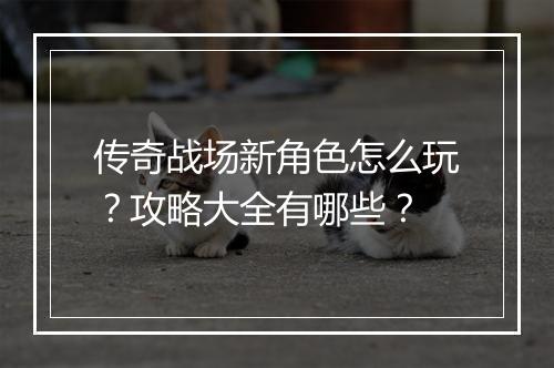 传奇战场新角色怎么玩？攻略大全有哪些？