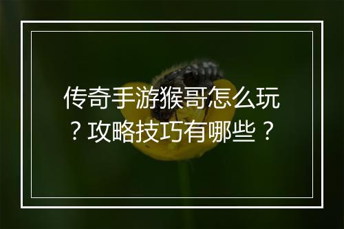 传奇手游猴哥怎么玩？攻略技巧有哪些？