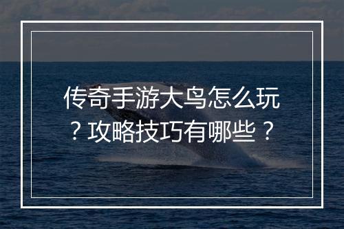 传奇手游大鸟怎么玩？攻略技巧有哪些？