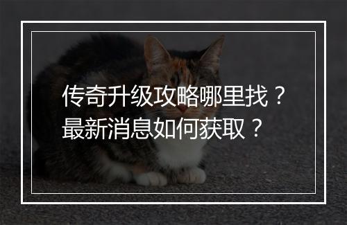 传奇升级攻略哪里找？最新消息如何获取？