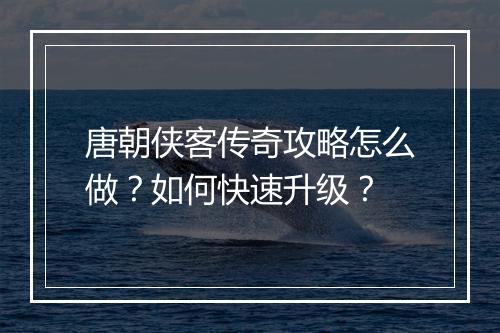 唐朝侠客传奇攻略怎么做？如何快速升级？