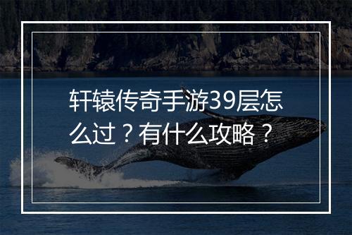 轩辕传奇手游39层怎么过？有什么攻略？
