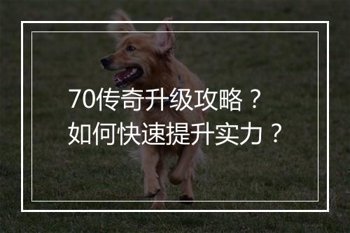 70传奇升级攻略？如何快速提升实力？
