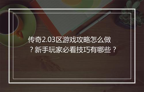 传奇2.03区游戏攻略怎么做？新手玩家必看技巧有哪些？