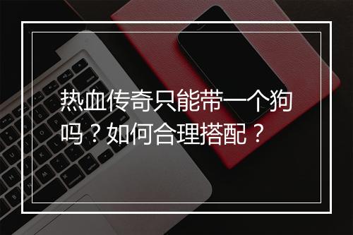 热血传奇只能带一个狗吗？如何合理搭配？