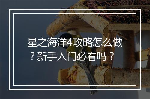 星之海洋4攻略怎么做？新手入门必看吗？