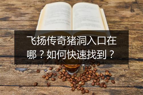 飞扬传奇猪洞入口在哪？如何快速找到？