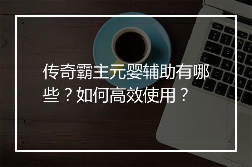 传奇霸主元婴辅助有哪些？如何高效使用？
