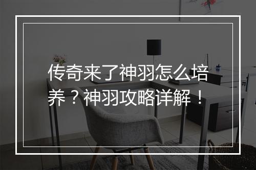 传奇来了神羽怎么培养？神羽攻略详解！