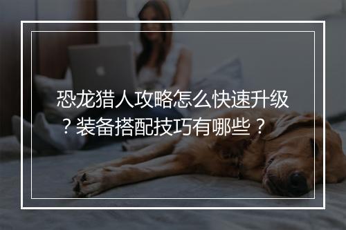 恐龙猎人攻略怎么快速升级？装备搭配技巧有哪些？