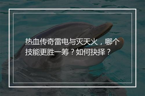 热血传奇雷电与灭天火，哪个技能更胜一筹？如何抉择？
