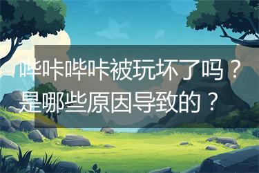 哔咔哔咔被玩坏了吗？是哪些原因导致的？