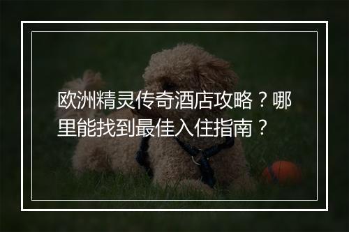 欧洲精灵传奇酒店攻略？哪里能找到最佳入住指南？