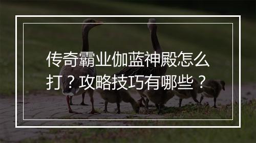 传奇霸业伽蓝神殿怎么打？攻略技巧有哪些？