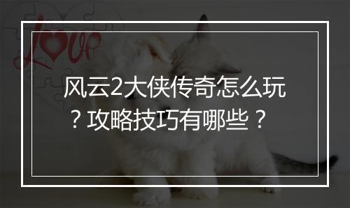 风云2大侠传奇怎么玩？攻略技巧有哪些？
