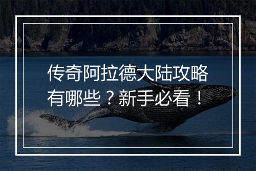 传奇阿拉德大陆攻略有哪些？新手必看！