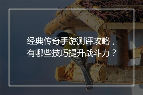 经典传奇手游测评攻略，有哪些技巧提升战斗力？