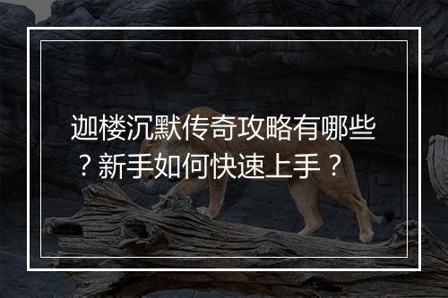 迦楼沉默传奇攻略有哪些？新手如何快速上手？