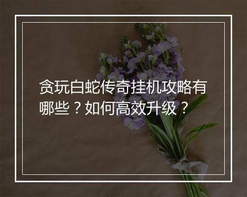 贪玩白蛇传奇挂机攻略有哪些？如何高效升级？