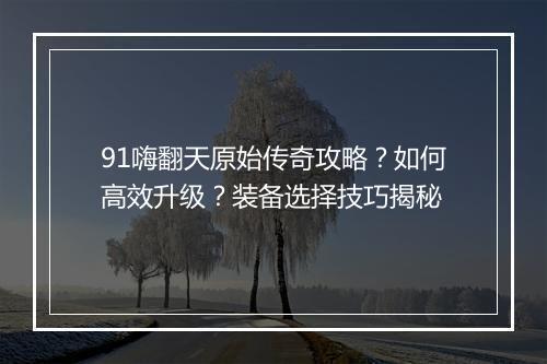 91嗨翻天原始传奇攻略？如何高效升级？装备选择技巧揭秘