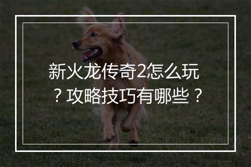 新火龙传奇2怎么玩？攻略技巧有哪些？