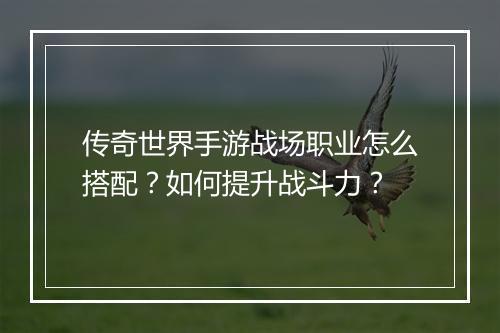 传奇世界手游战场职业怎么搭配？如何提升战斗力？