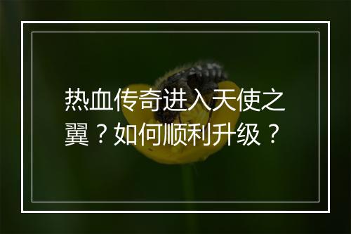 热血传奇进入天使之翼？如何顺利升级？