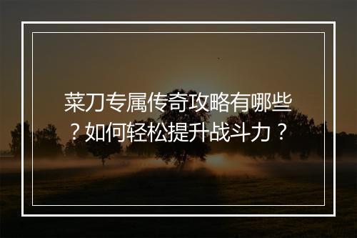 菜刀专属传奇攻略有哪些？如何轻松提升战斗力？