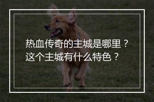 热血传奇的主城是哪里？这个主城有什么特色？