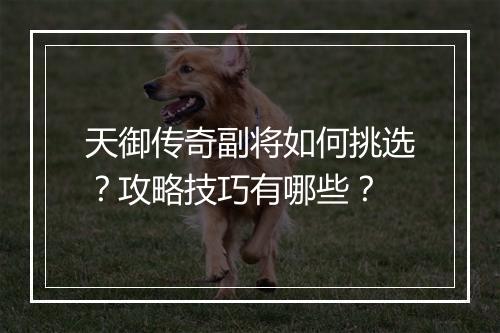 天御传奇副将如何挑选？攻略技巧有哪些？