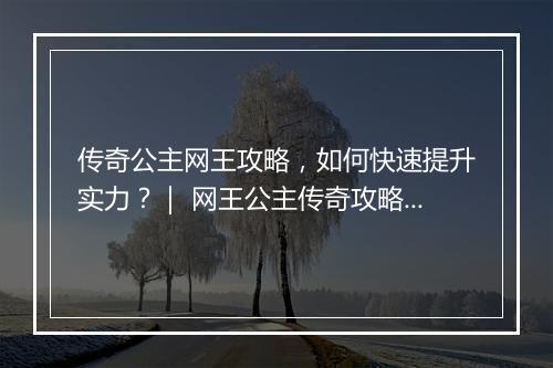 传奇公主网王攻略，如何快速提升实力？｜ 网王公主传奇攻略技巧分享