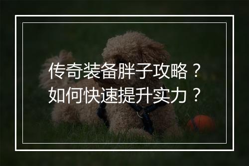 传奇装备胖子攻略？如何快速提升实力？