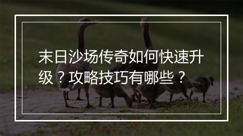 末日沙场传奇如何快速升级？攻略技巧有哪些？