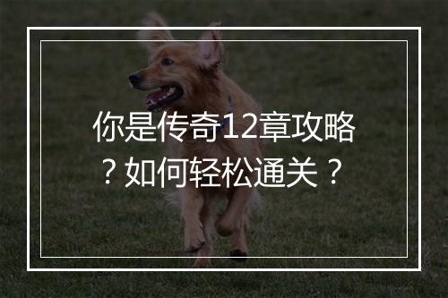 你是传奇12章攻略？如何轻松通关？