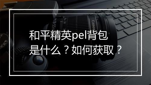 和平精英pel背包是什么？如何获取？