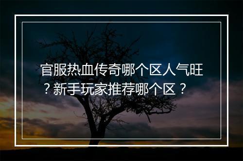 官服热血传奇哪个区人气旺？新手玩家推荐哪个区？