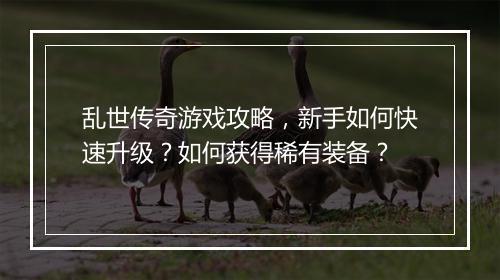 乱世传奇游戏攻略，新手如何快速升级？如何获得稀有装备？