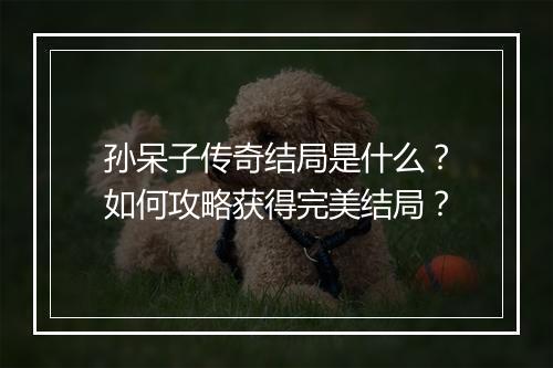 孙呆子传奇结局是什么？如何攻略获得完美结局？