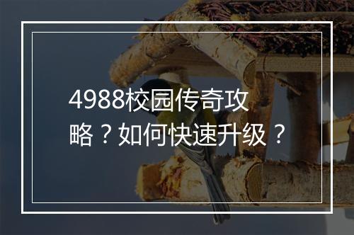4988校园传奇攻略？如何快速升级？