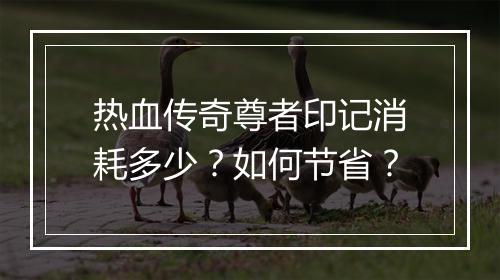 热血传奇尊者印记消耗多少？如何节省？