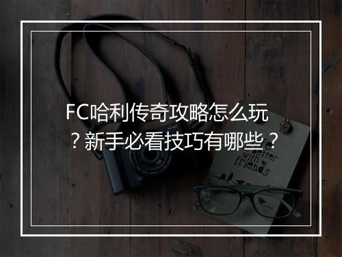 FC哈利传奇攻略怎么玩？新手必看技巧有哪些？