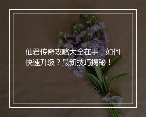 仙君传奇攻略大全在手，如何快速升级？最新技巧揭秘！