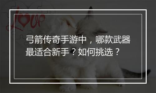 弓箭传奇手游中，哪款武器最适合新手？如何挑选？