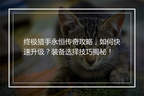 终极猎手永恒传奇攻略，如何快速升级？装备选择技巧揭秘！